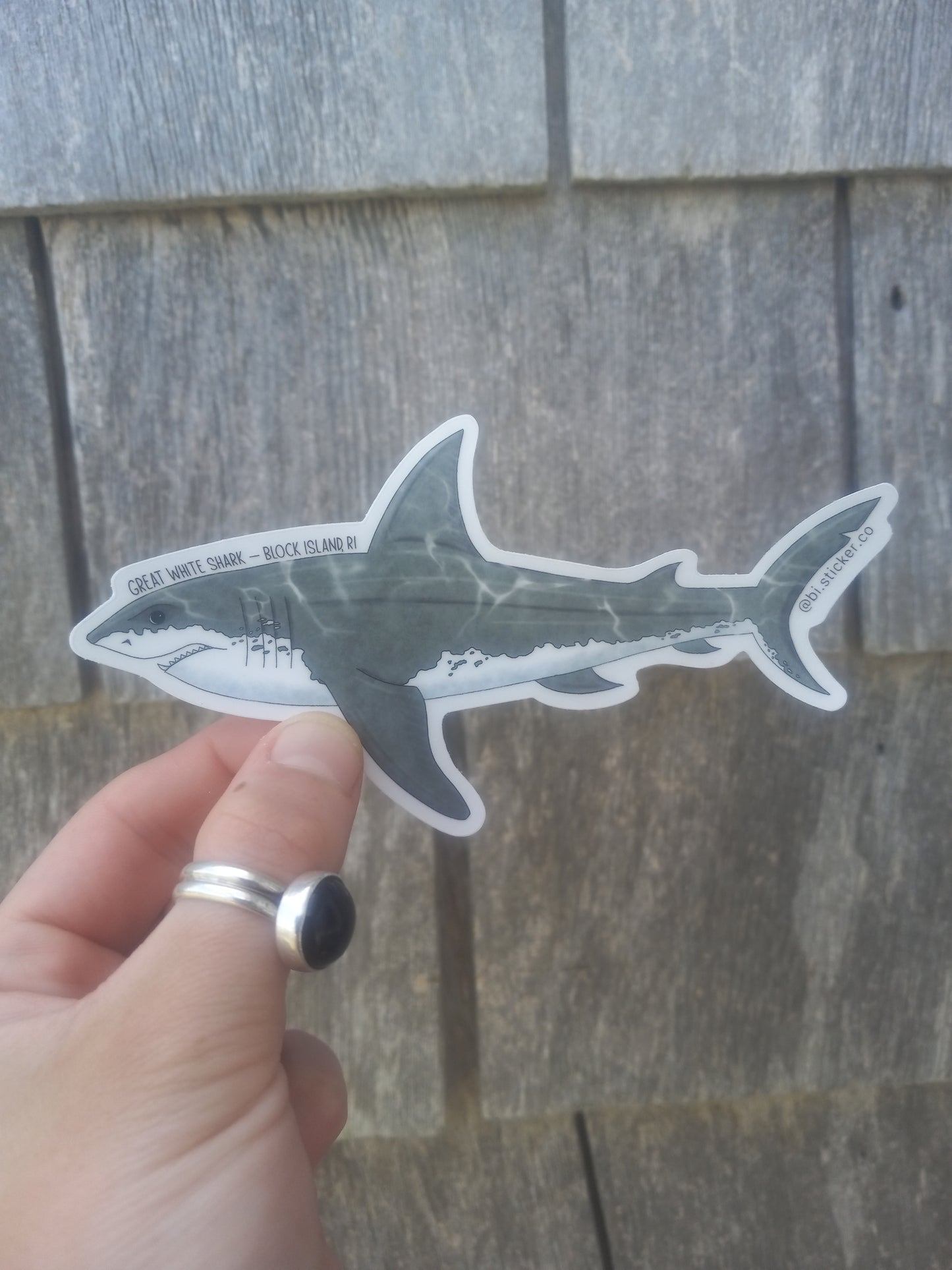 Great White Shark Sticker