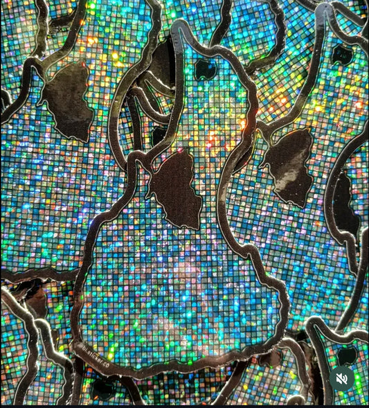 Disco BI sticker
