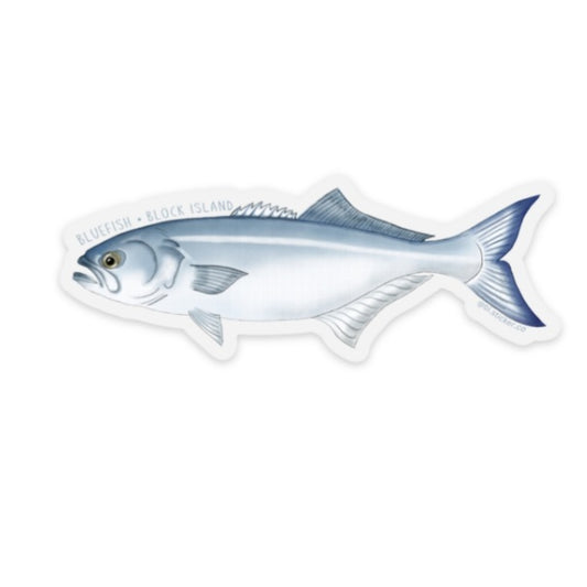 Bluefish sticker